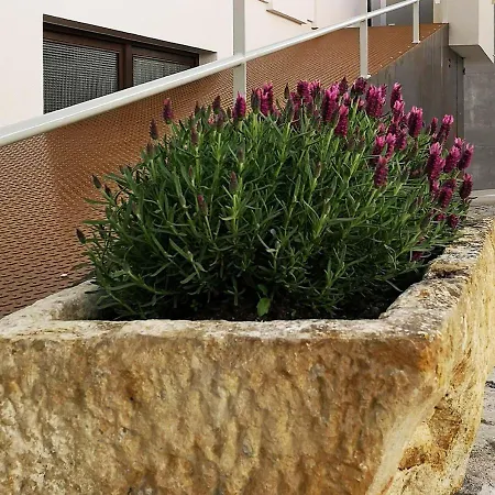 Casa de Férias Casa Do Adro, Casaspensadas