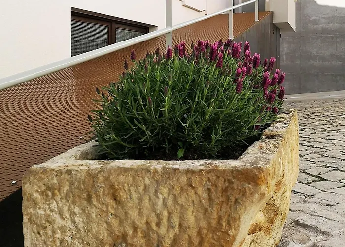 펜션 Casa Do Adro, Casaspensadas